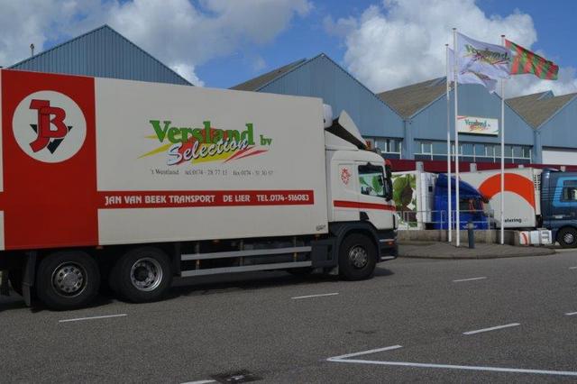 Lees meer over het artikel Industriële vloer – kunststof gietvloer groothandel groente en fruit Poeldijk