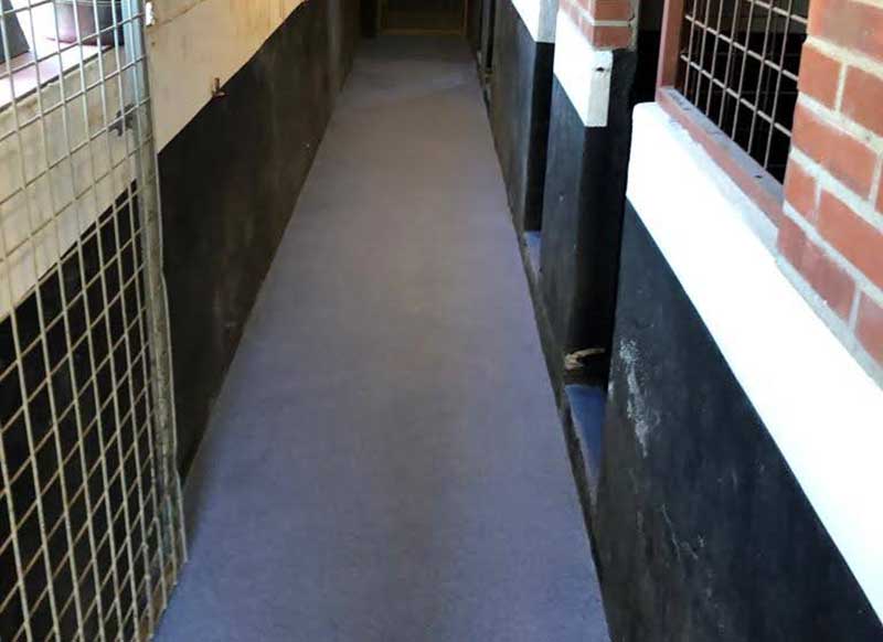 Krasbestendige vloer voor hondenpension Oud-dijk